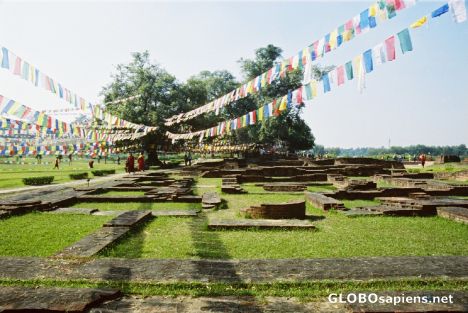 Buddha's birthplace to be developed to make merit for Their Majesties